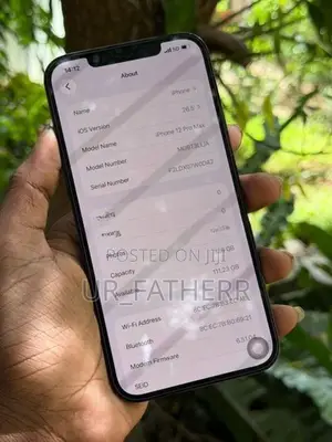 Apple iPhone 12 Pro Max 128GB (Used)