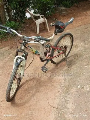 බයිසිකලය