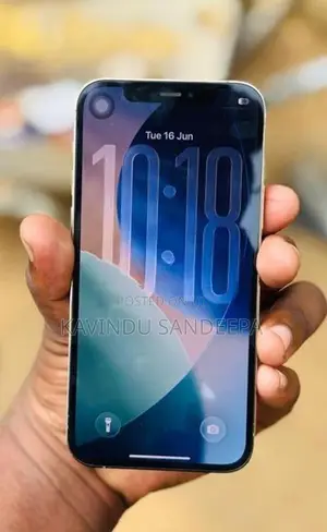 Apple iPhone 12 Pro (Used)