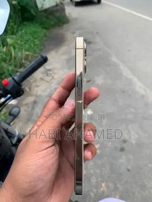 Apple iPhone 12 Pro Max (Used)