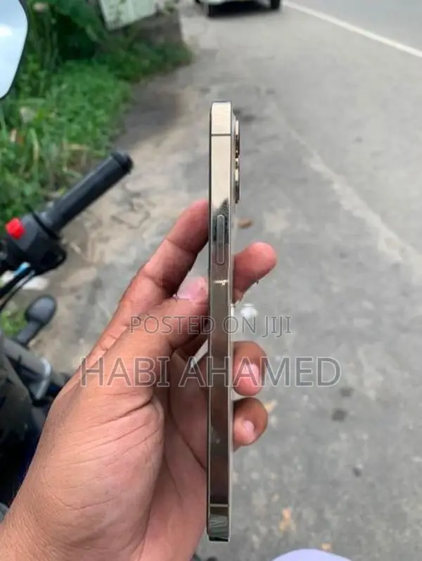 Apple iPhone 12 Pro Max (Used)