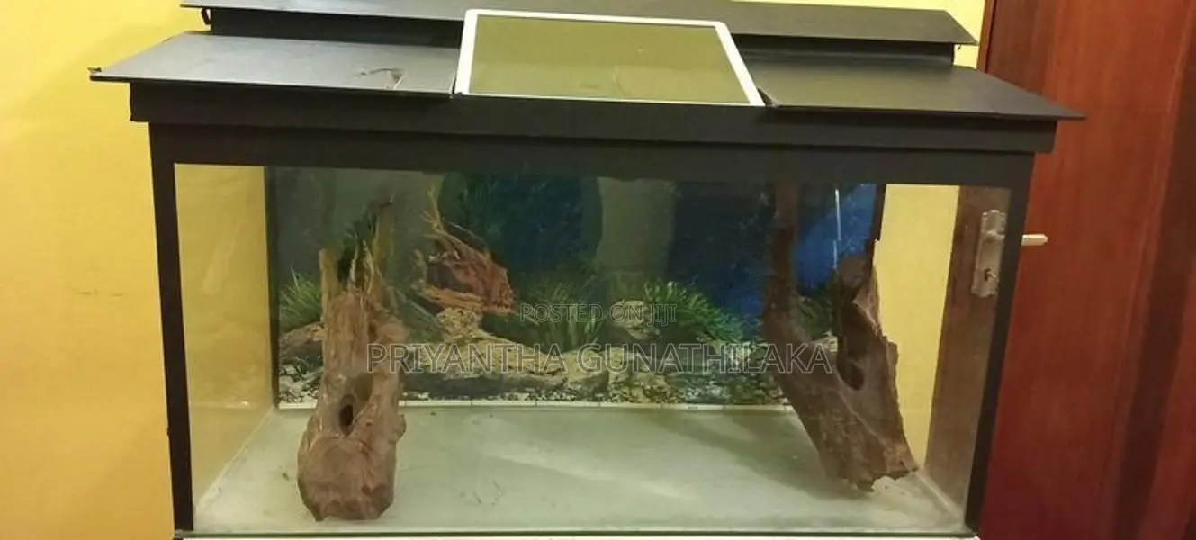 Fish Tank
