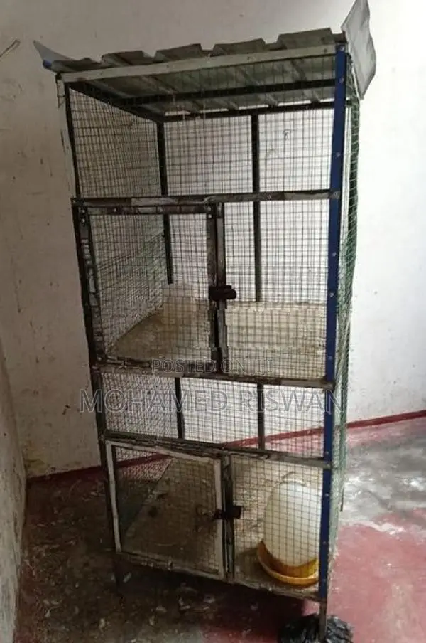 Bird Cage