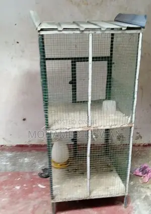 Bird Cage