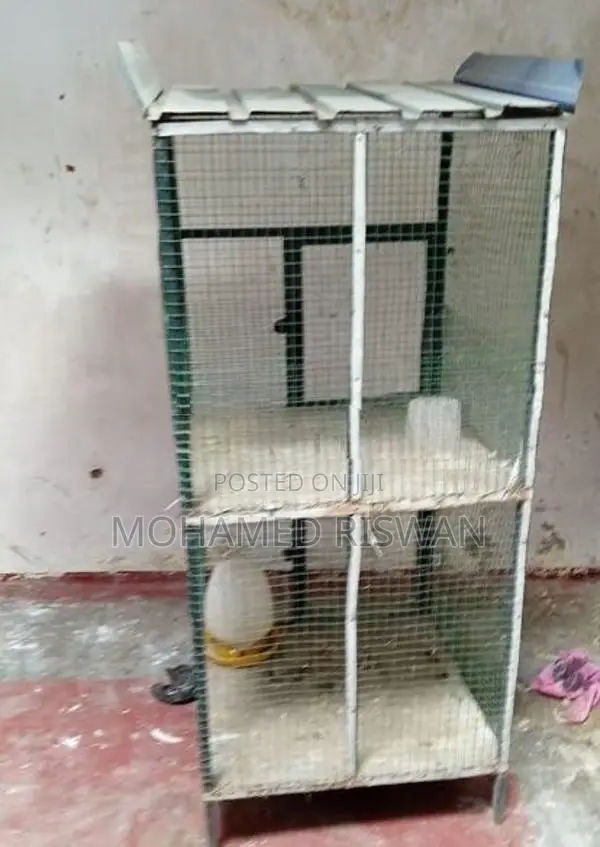 Bird Cage