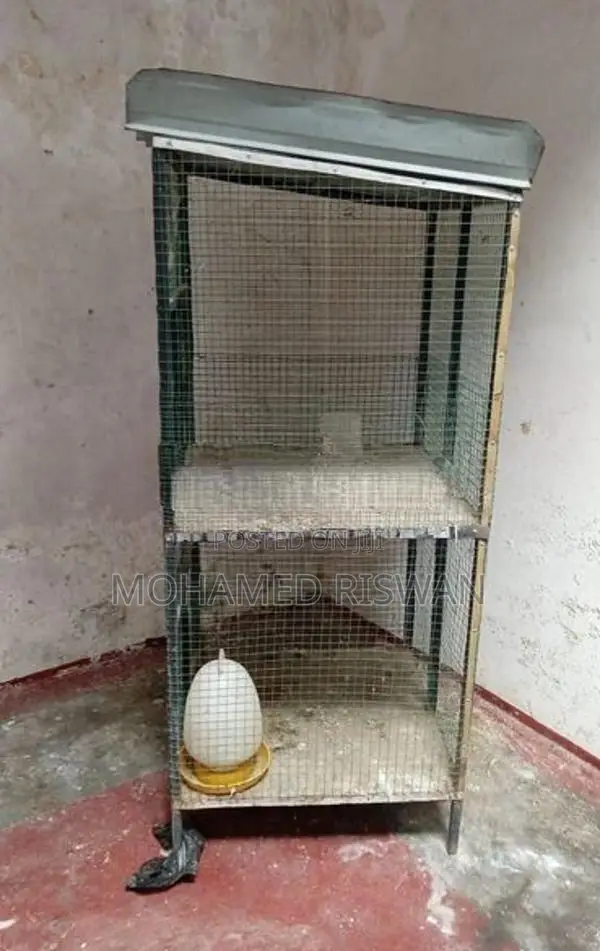 Bird Cage