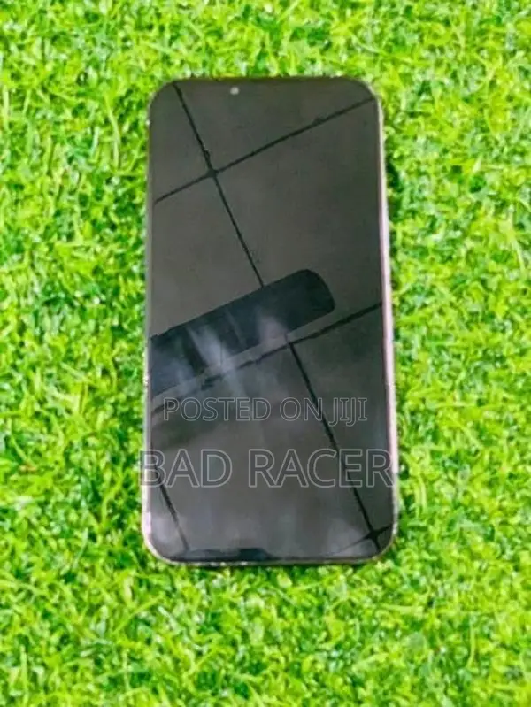 Apple iPhone 13 Pro Max (Used)