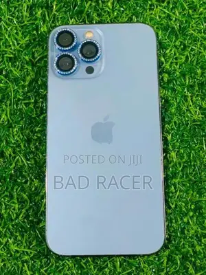 Apple iPhone 13 Pro Max (Used)