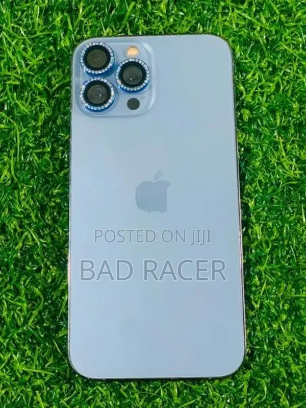 Apple iPhone 13 Pro Max (Used)