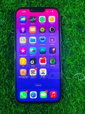 Apple iPhone 13 Pro Max (Used)