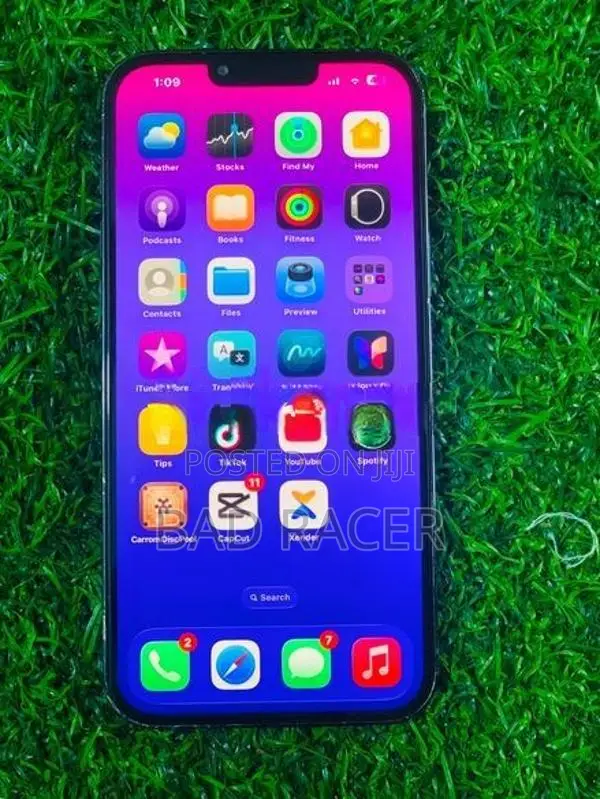 Apple iPhone 13 Pro Max (Used)