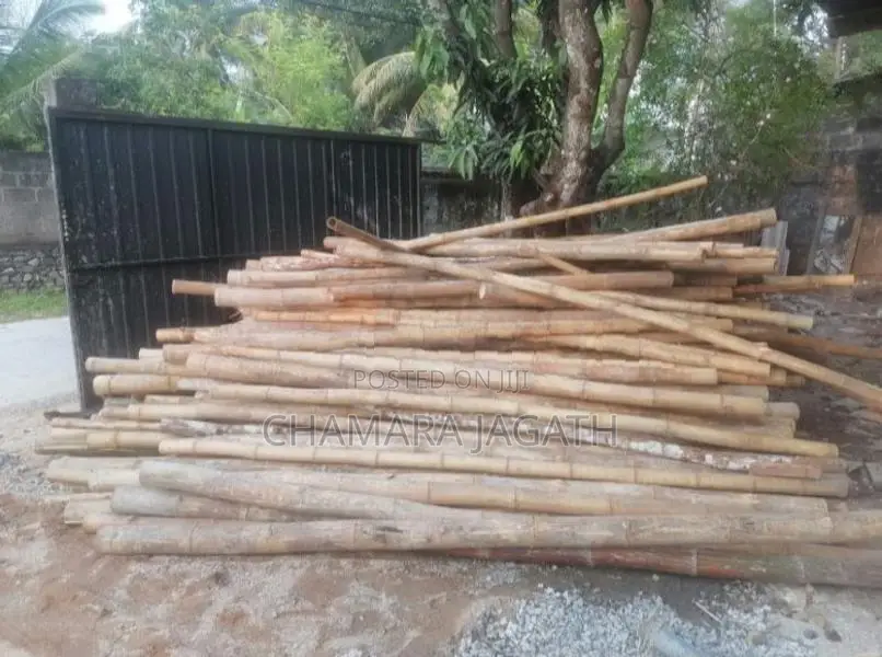 උණ මුක්කු