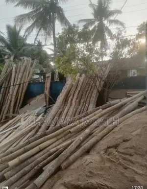 උණ මුක්කු