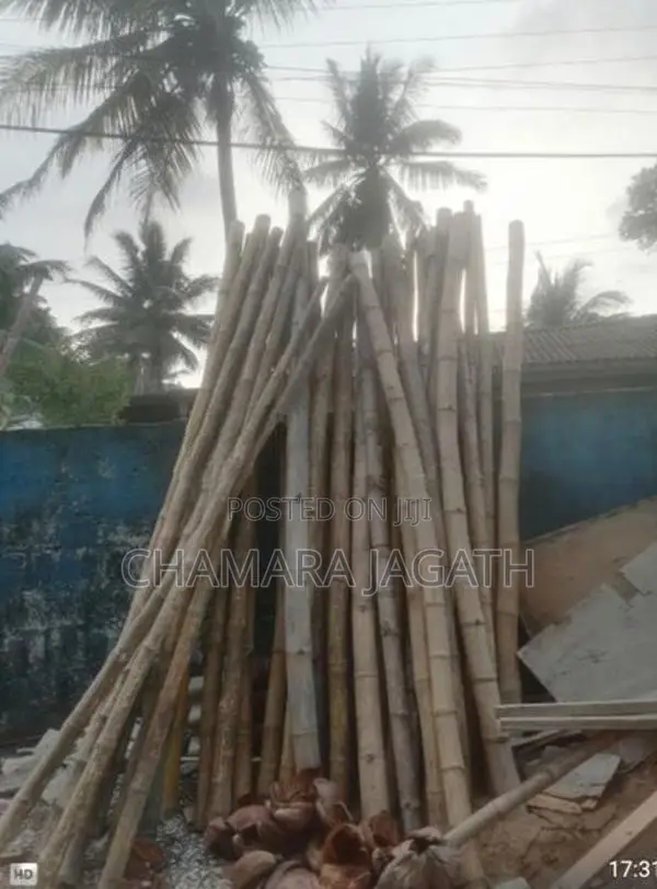 උණ මුක්කු