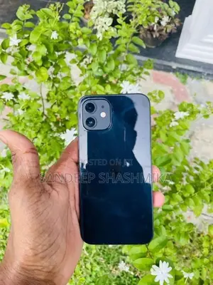 Apple iPhone 12 5G (Used)