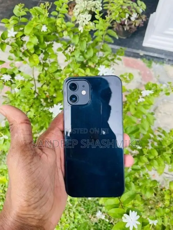 Apple iPhone 12 5G (Used)