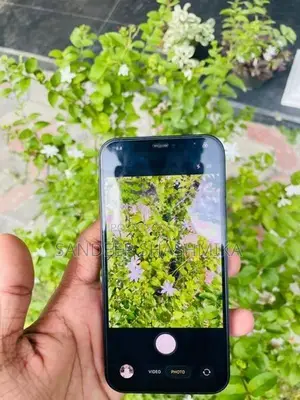 Apple iPhone 12 5G (Used)