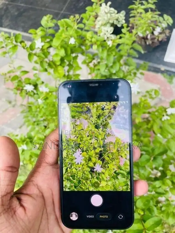 Apple iPhone 12 5G (Used)
