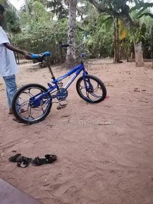 Tomahawk Mountain Bicycle