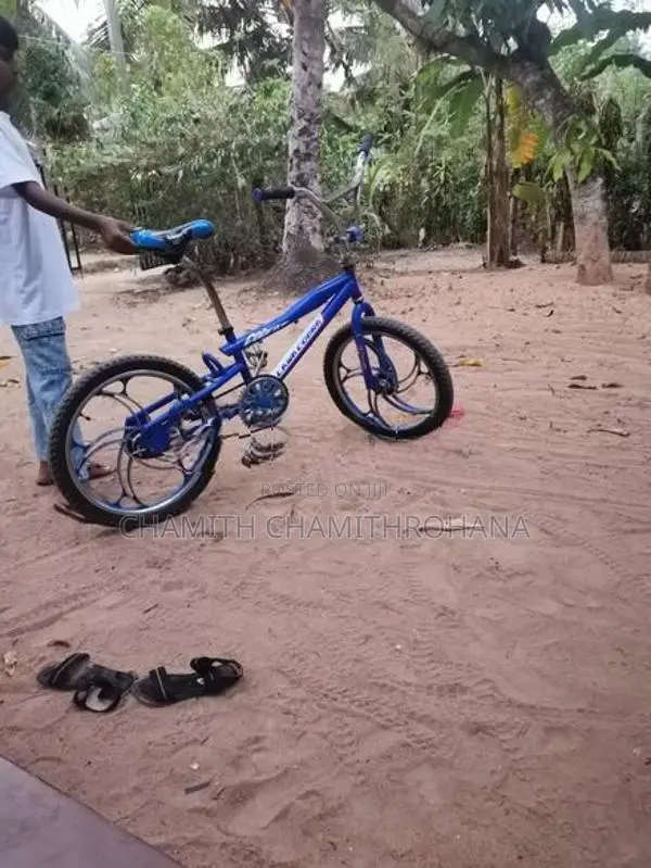 Tomahawk Mountain Bicycle