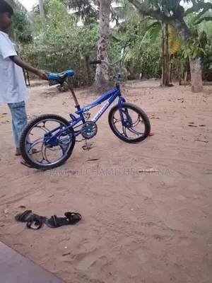 Tomahawk Mountain Bicycle