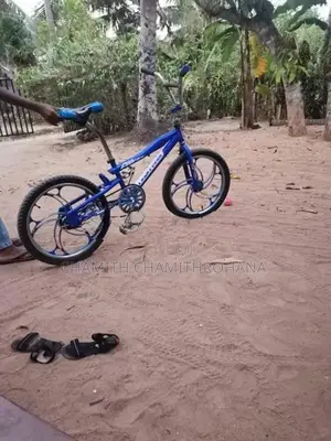Tomahawk Mountain Bicycle