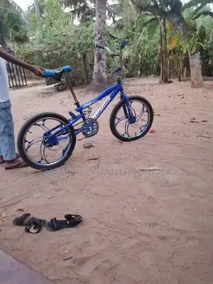 Tomahawk Mountain Bicycle