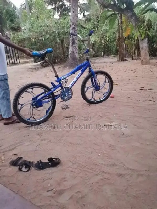 Tomahawk Mountain Bicycle