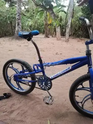 Tomahawk Mountain Bicycle