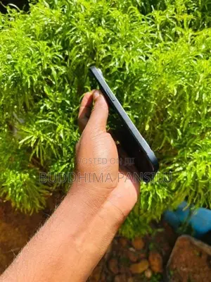 Apple iPhone 15 (Used)