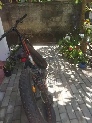 FTB Pro Fat Tyre Bicycle