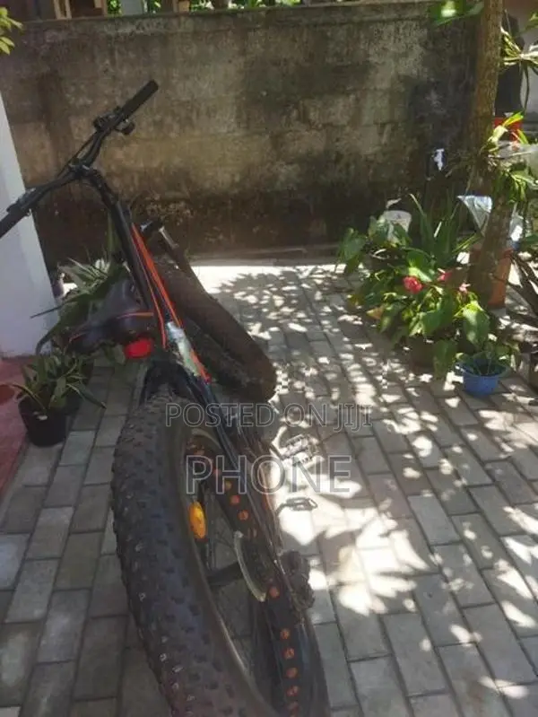 FTB Pro Fat Tyre Bicycle
