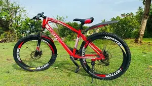 Kenton Bicycle