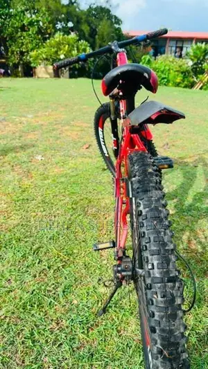 Kenton Bicycle