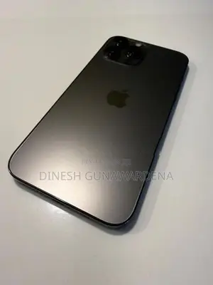 Apple iPhone 13 Pro Max (Used)