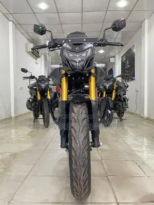 Hero Hunk 160R 2026
