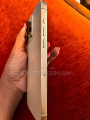 Apple iPhone 15 Pro Max (Used)