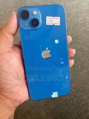 Apple iPhone 13 128GB (Used)