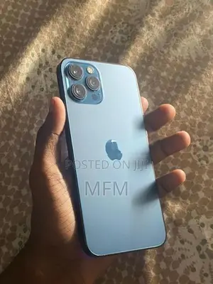 Apple iPhone 12 Pro Max 256GB (Used)