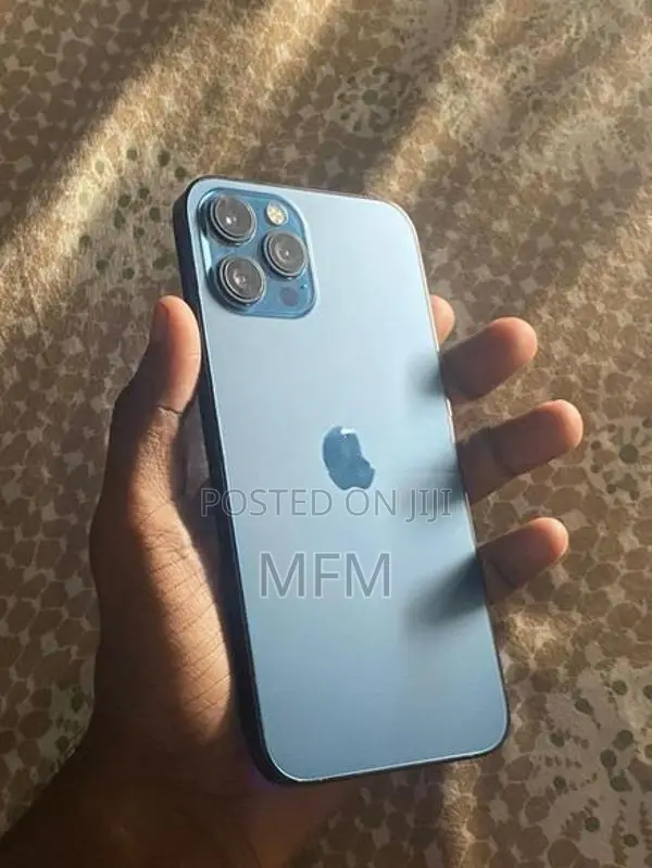 Apple iPhone 12 Pro Max 256GB (Used)