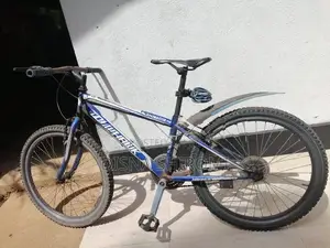 Tomahawk Bicycle