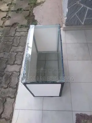 මාළු ටැංකි
