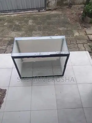මාළු ටැංකි