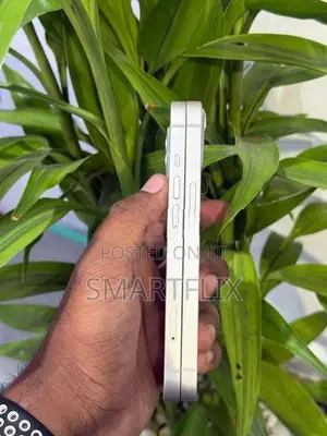 Apple iPhone 13 (Used)