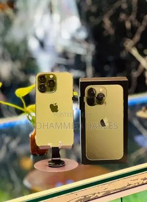 Apple iPhone 13 Pro (Used)