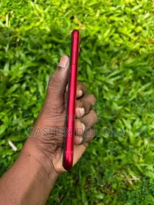Apple iPhone 11 (Used)