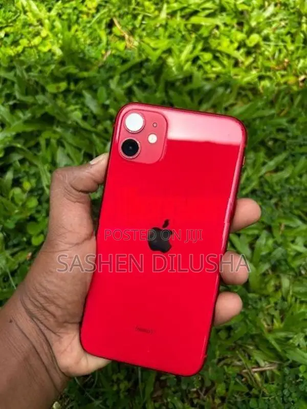 Apple iPhone 11 (Used)
