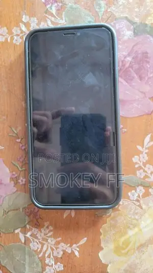 Apple iPhone X (Used)