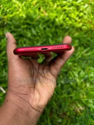 Apple iPhone 11 (Used)