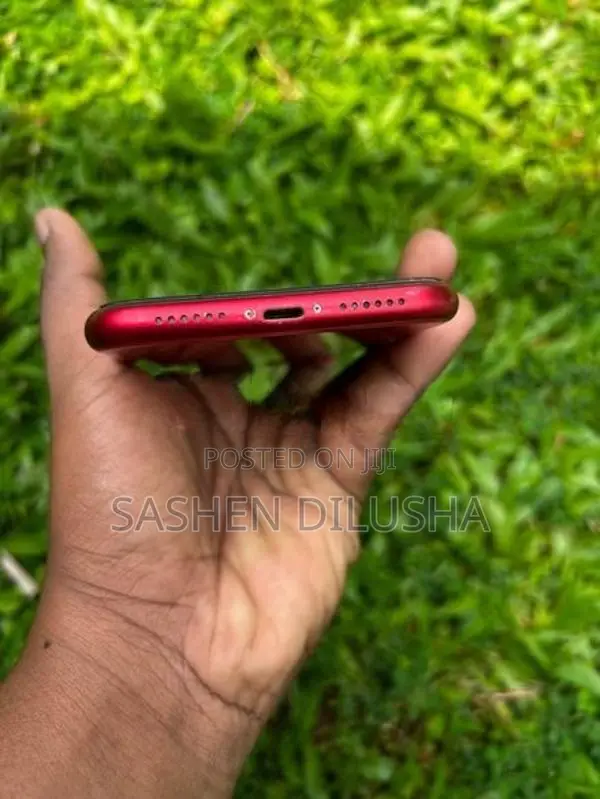 Apple iPhone 11 (Used)